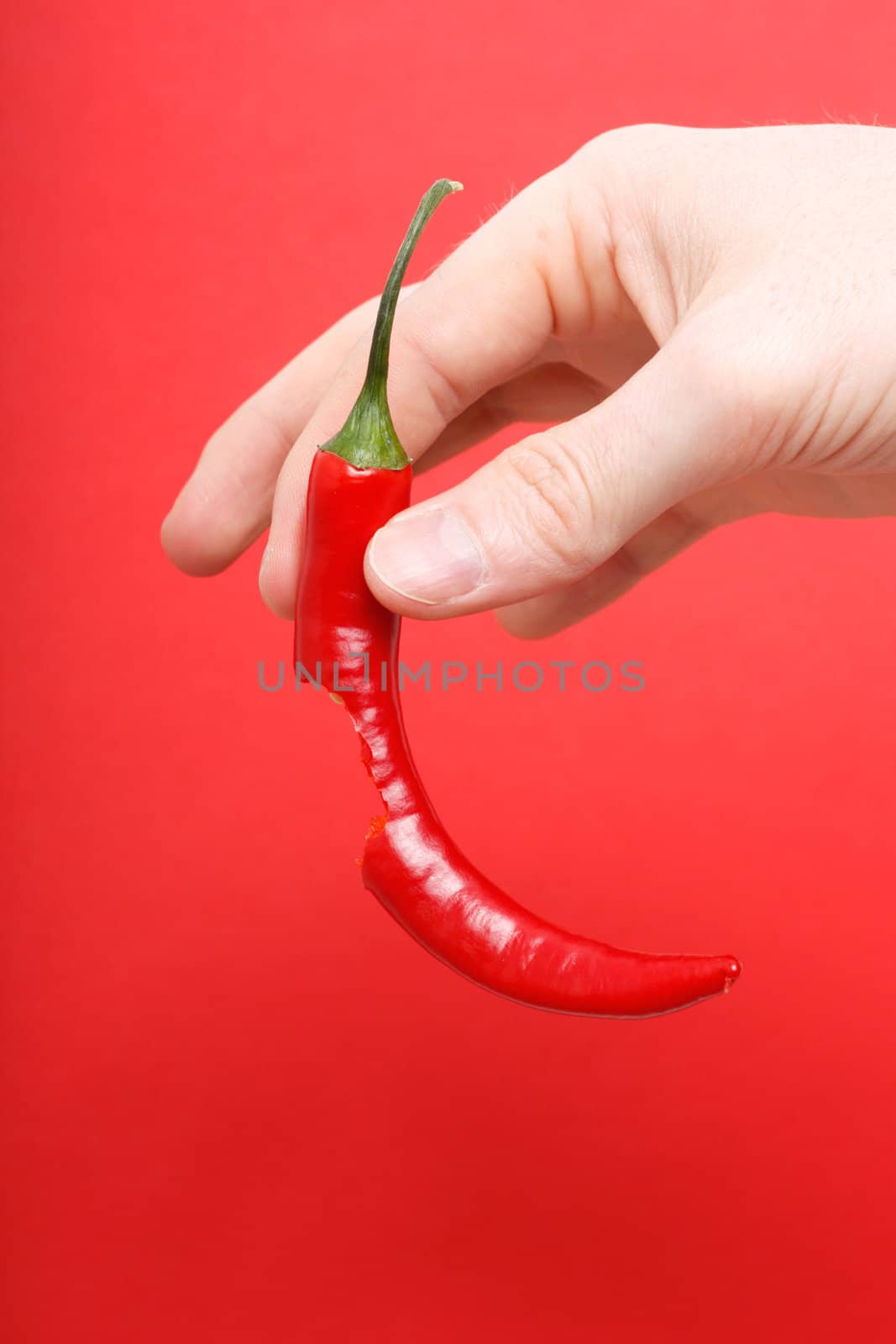 A hand holding chili pepper