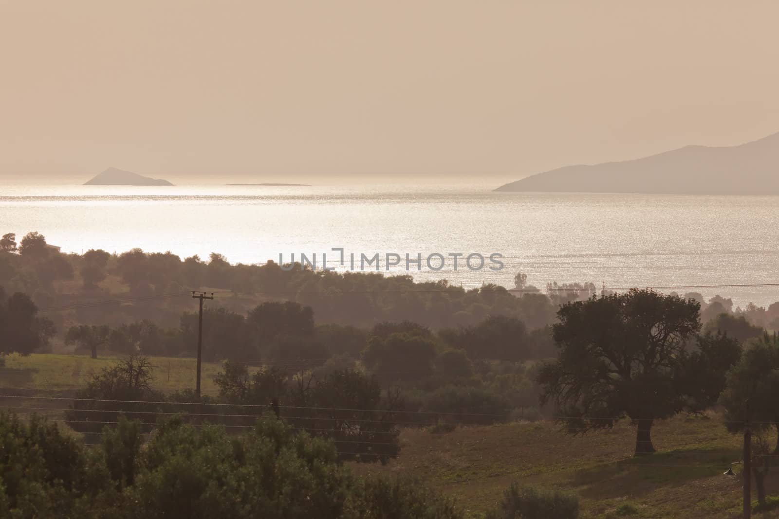 Early Morning over olive tree farmland at the mediterranean coast of Peloponnes, Greece, Europe