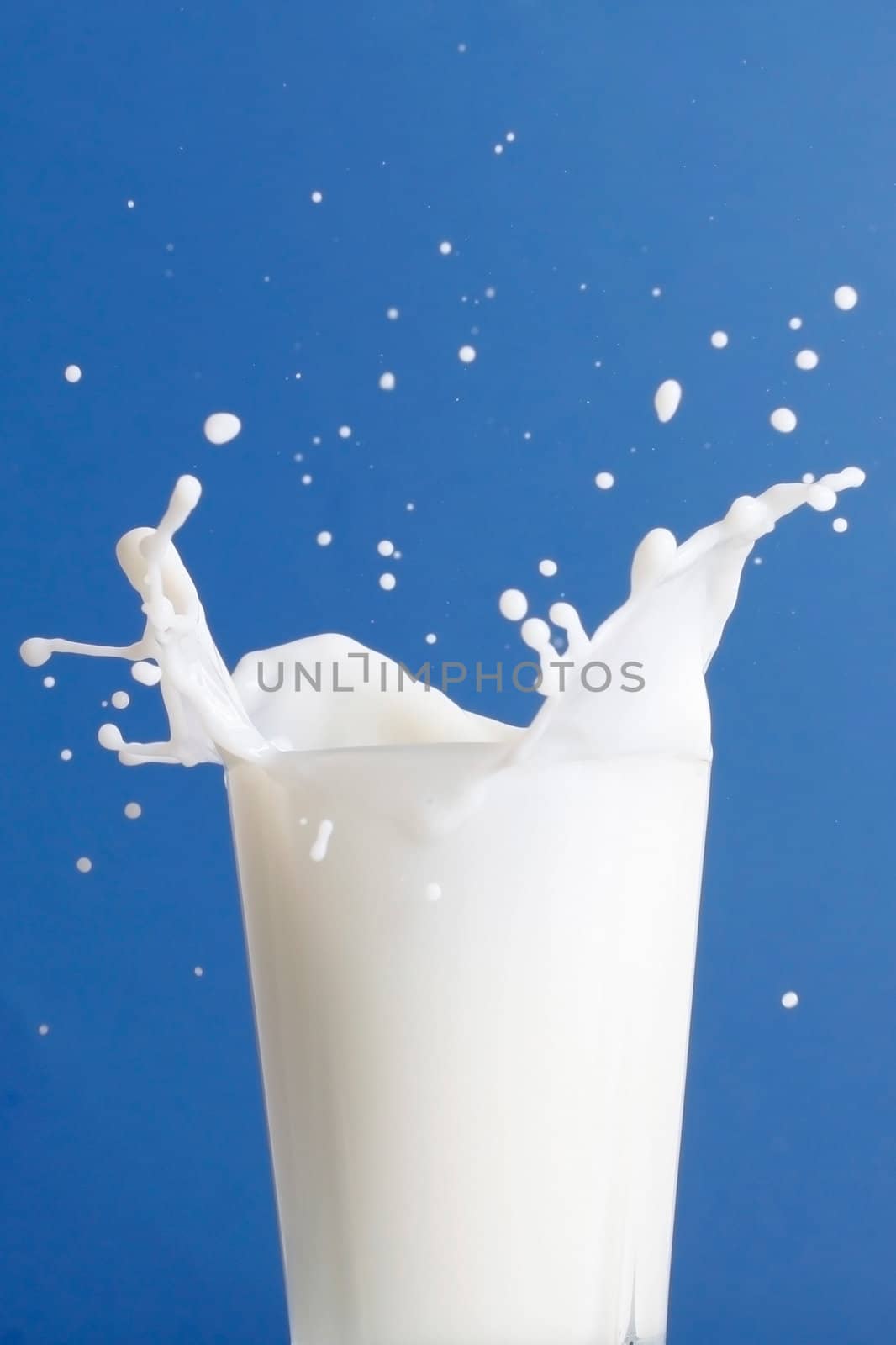 Milk by leeser