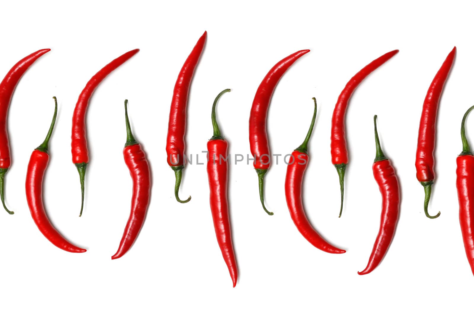 Chili peppers by leeser