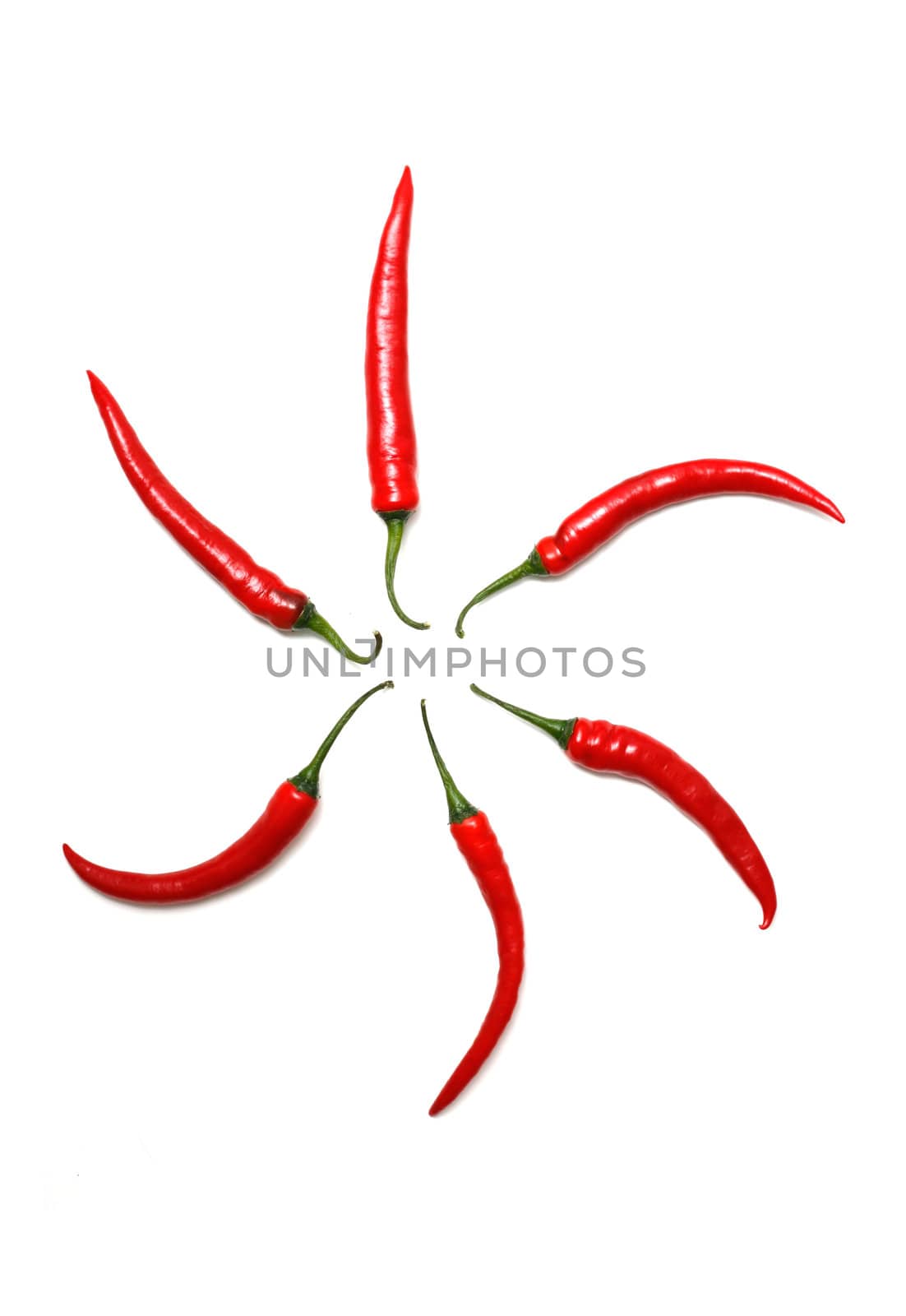 Chili peppers by leeser