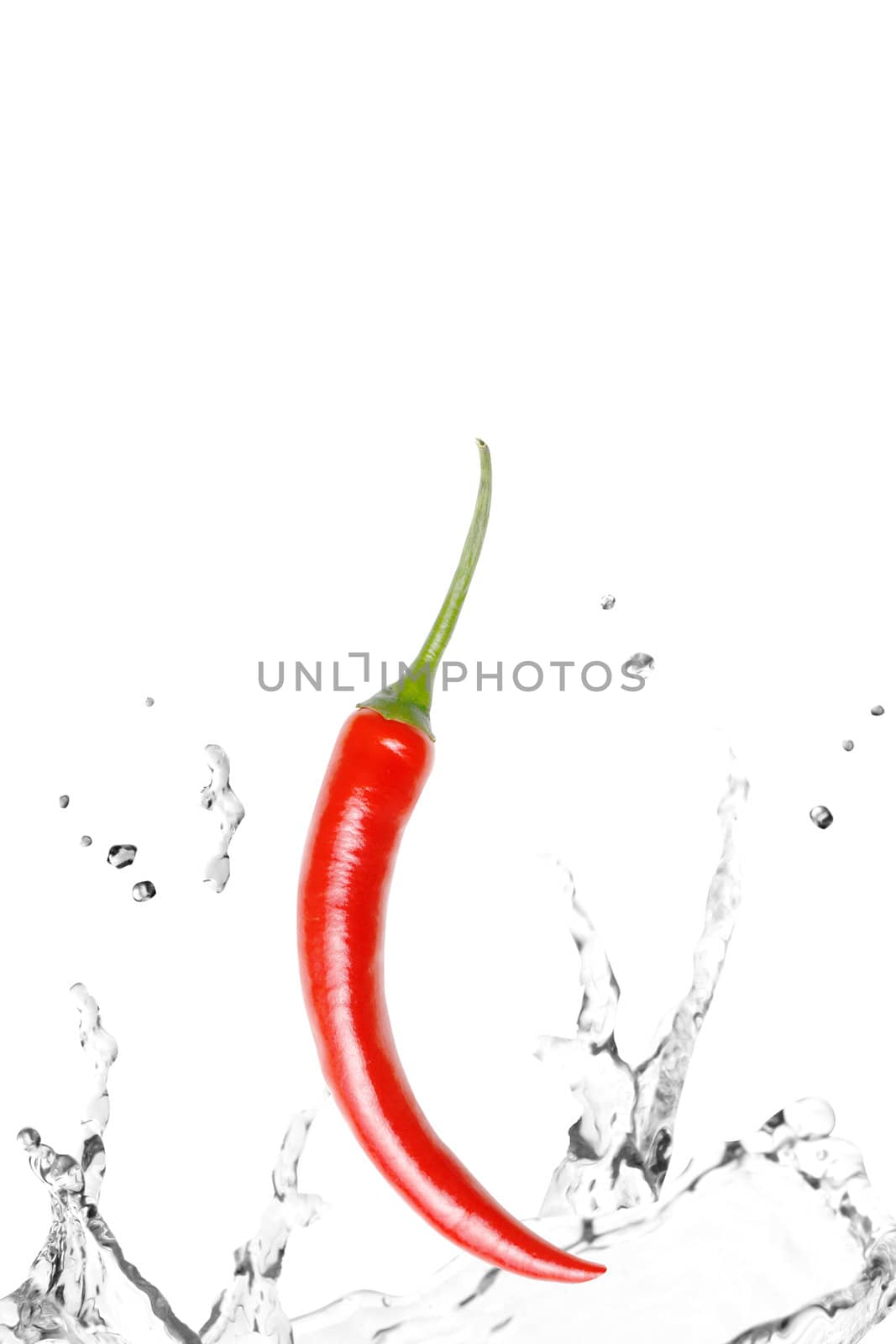 A fresh chili pepper