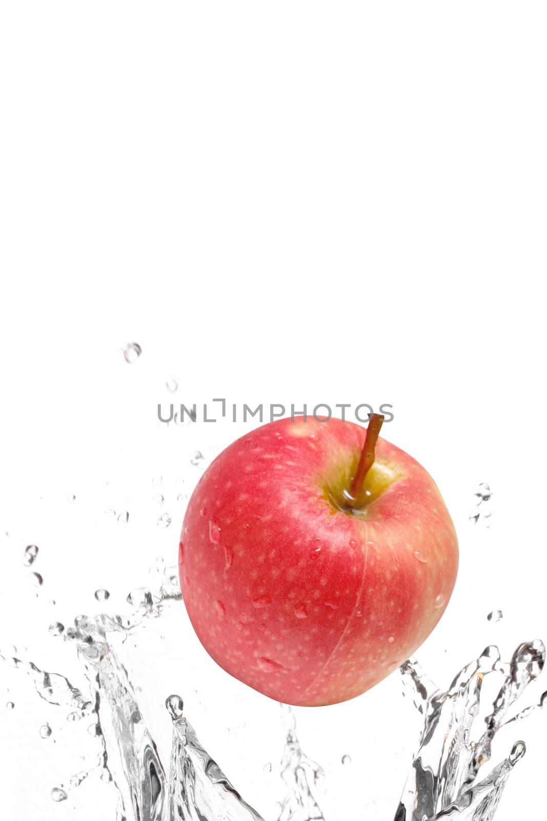 Apple by leeser