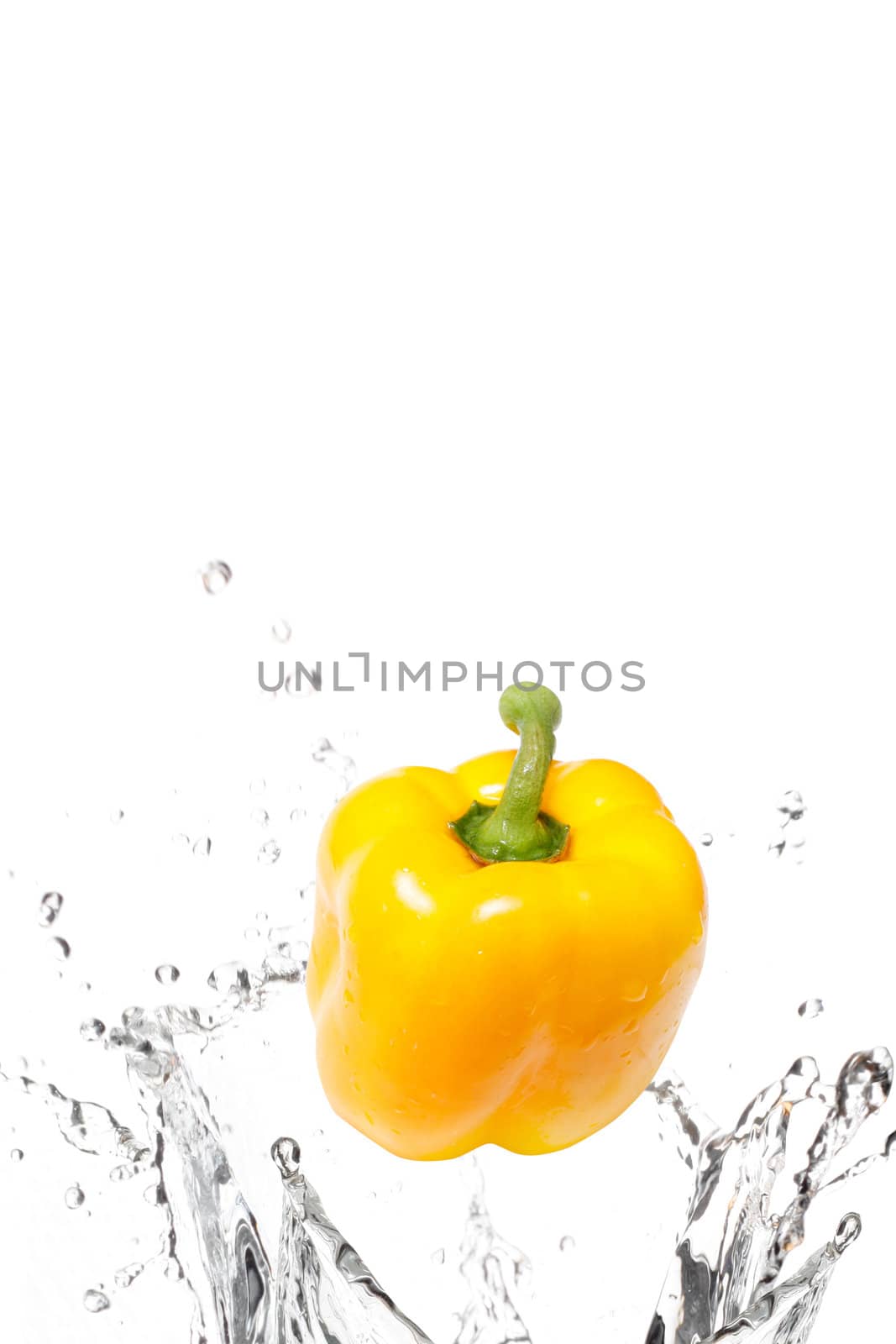 Fresh yellow bell pepper by leeser