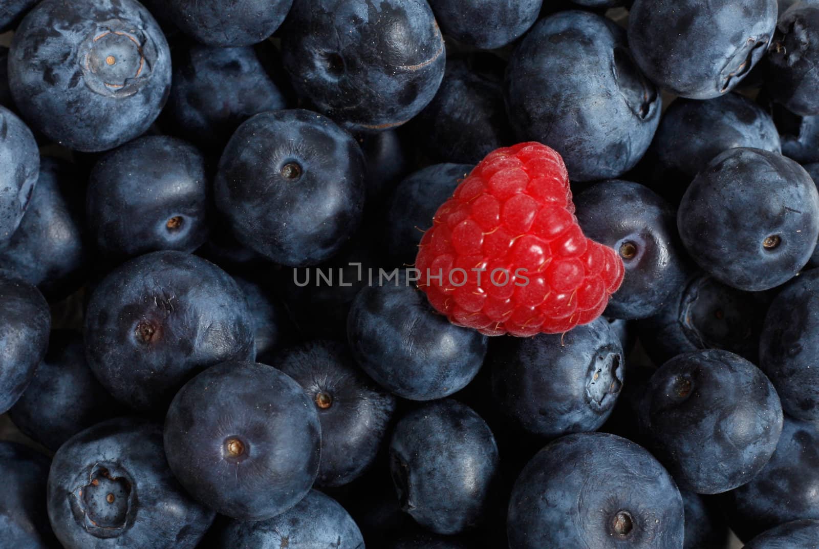 Raspberry on a background of blueberries