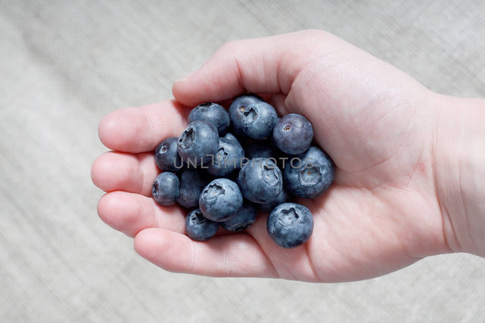 Handful of blueberries by leeser