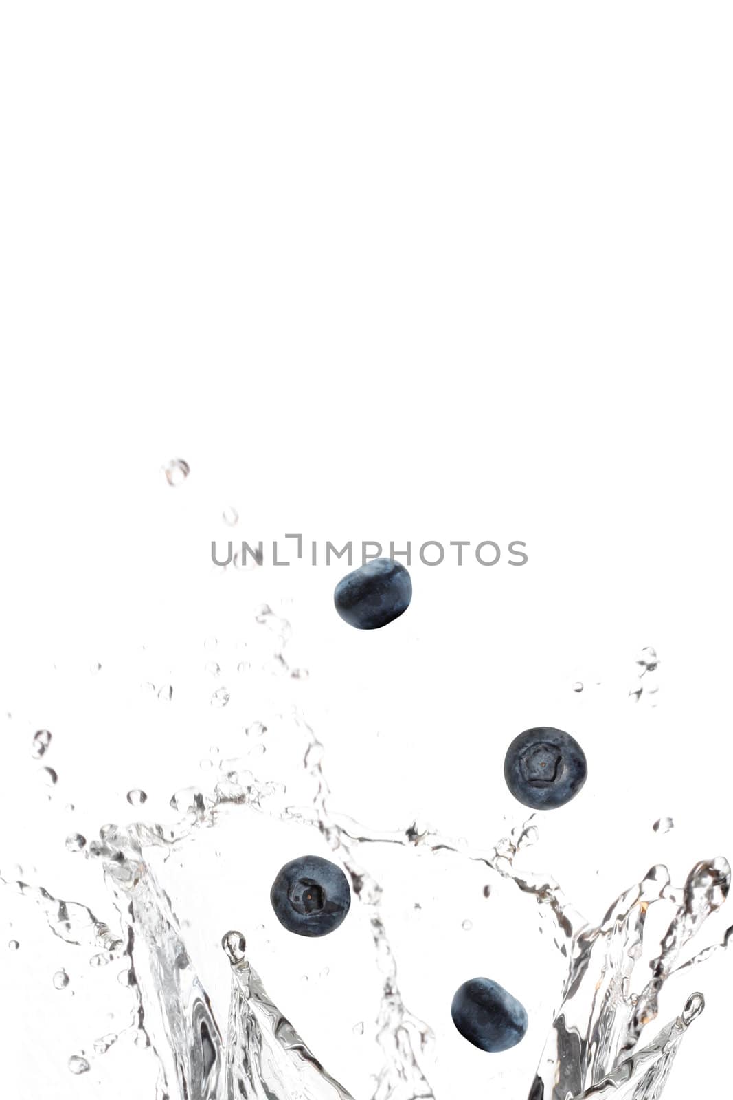 Blueberries splashing in water