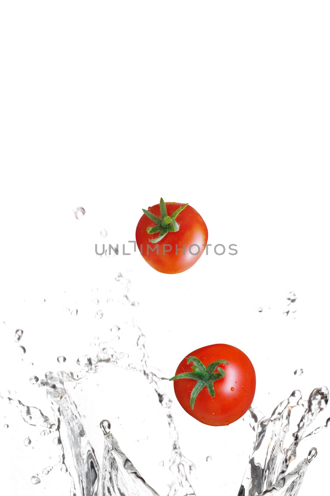 Tomatoes by leeser
