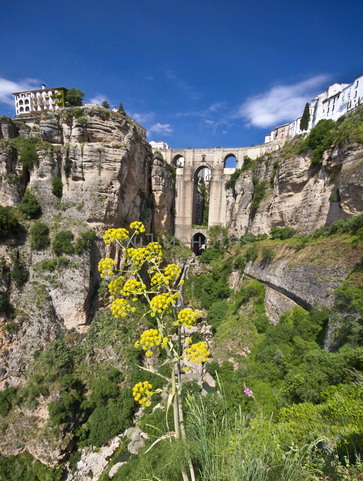 Panoramic view of Ronda, Andalusia, Spain by kasto