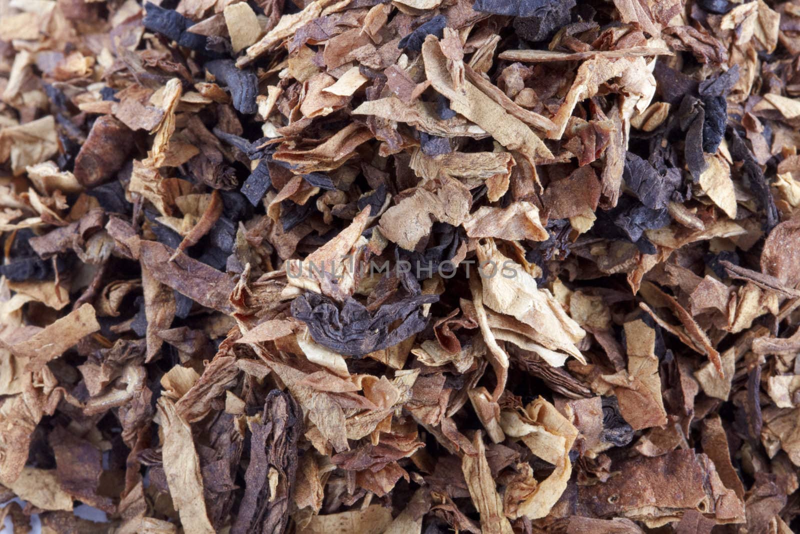 Cut and dried different sorts (kinds) tobacco leaves. Tobacco for smoking with pipe.