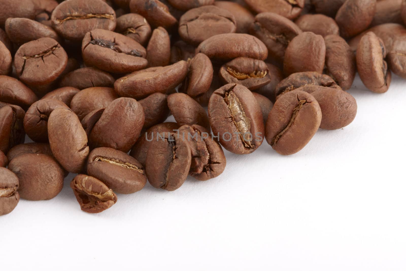 Coffe beans macro on white background