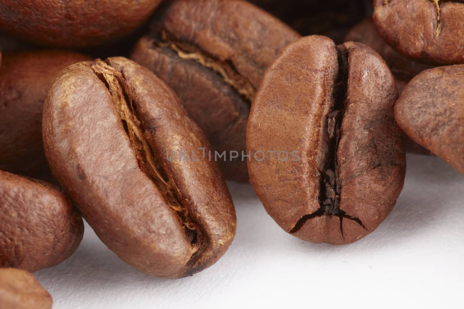 Macro shot of coffe bean