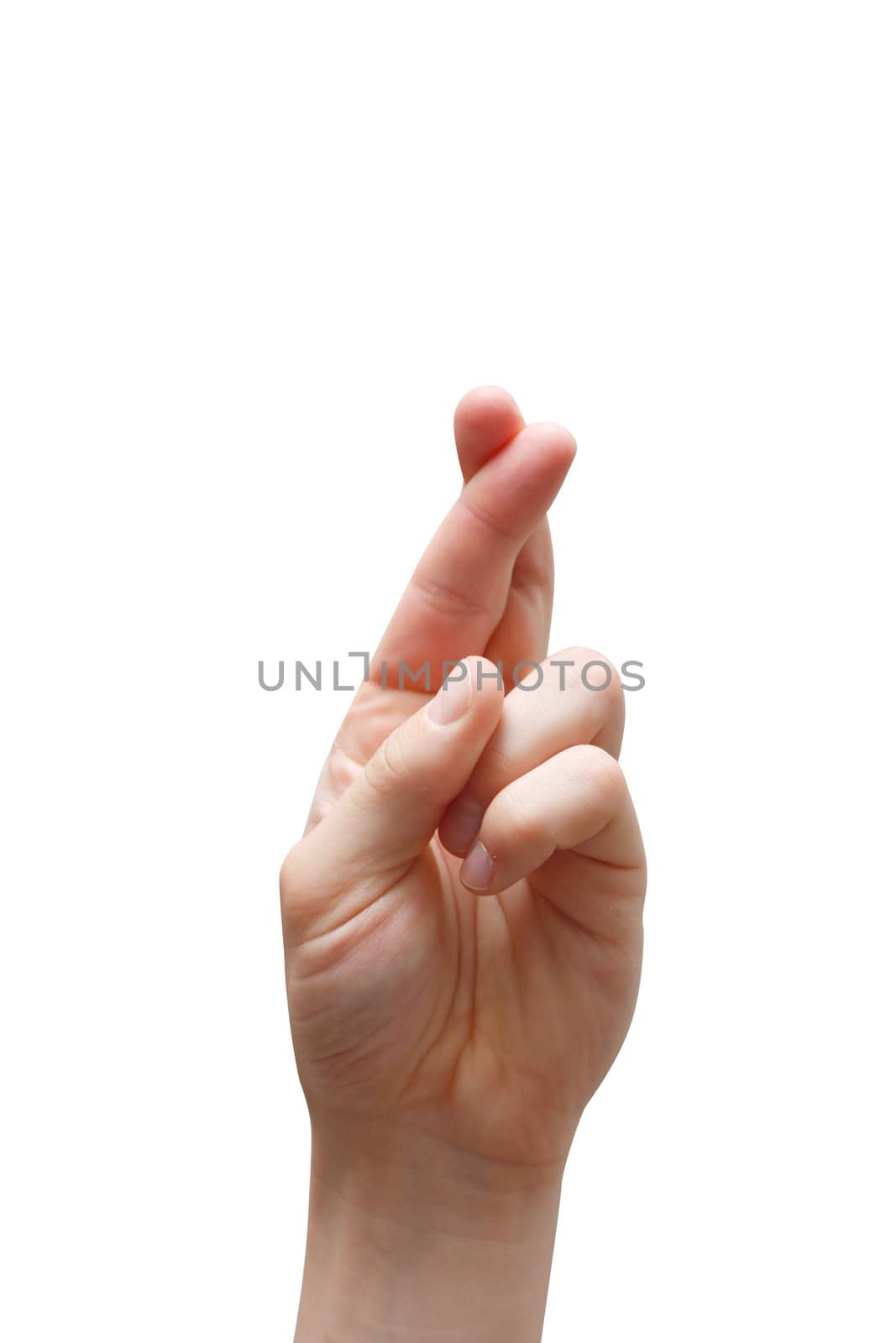 Fingers crossed isolated on white