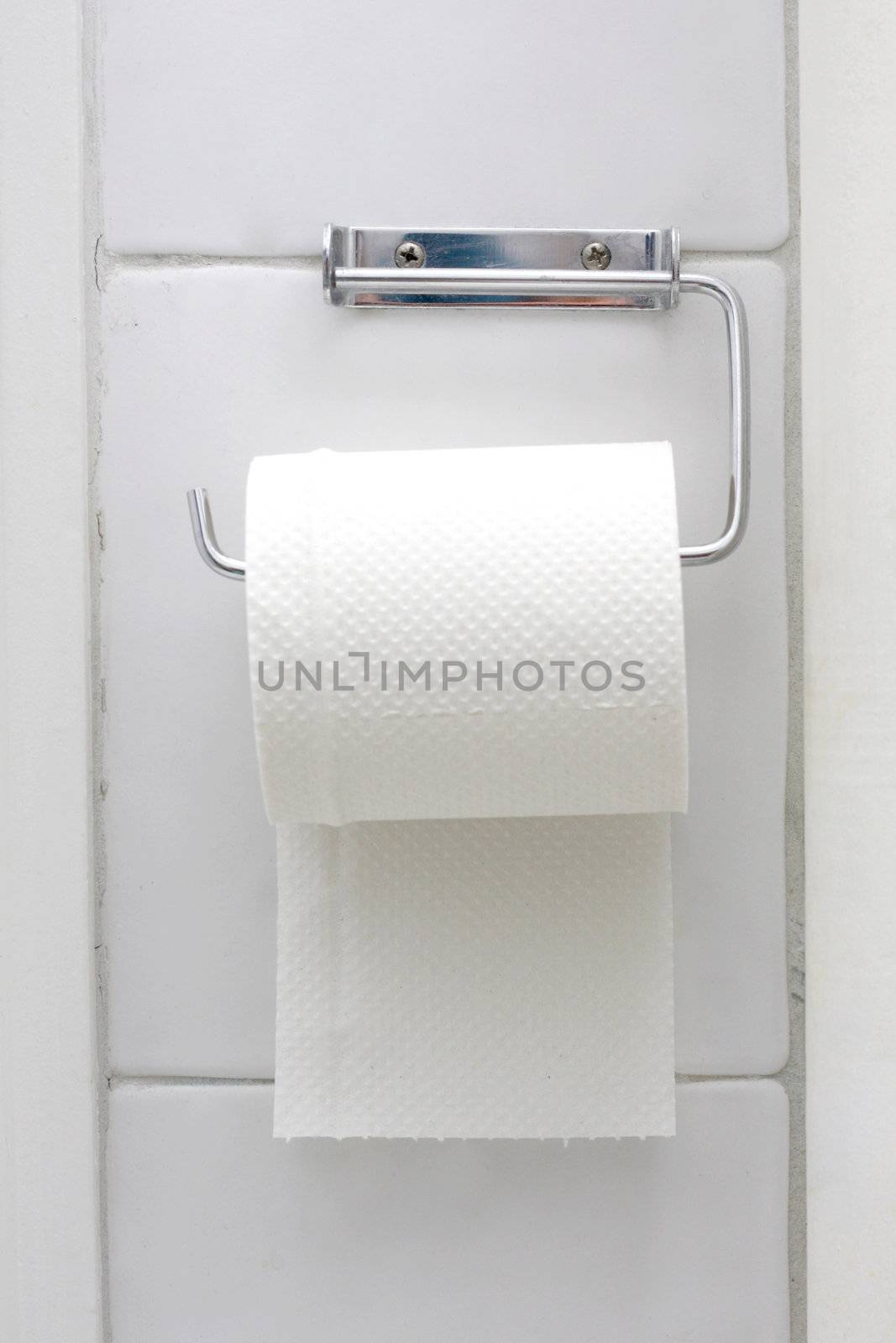 Toilet paper by leeser