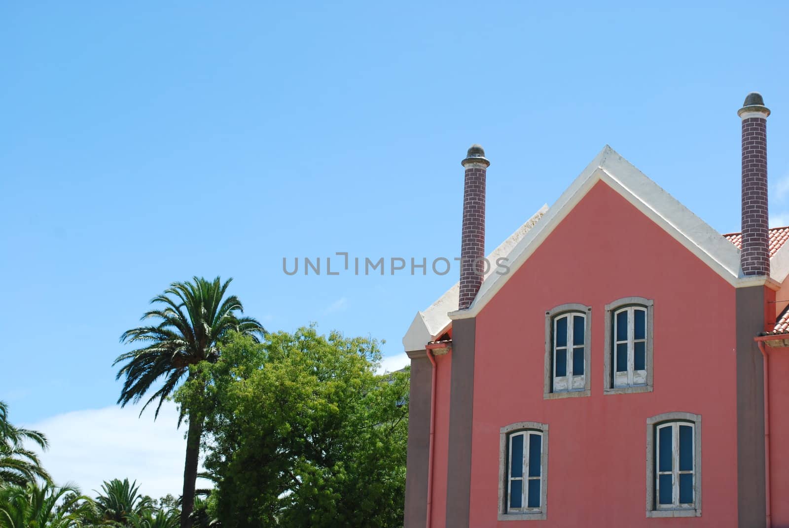 Pink traditional building with palm trees garden by luissantos84