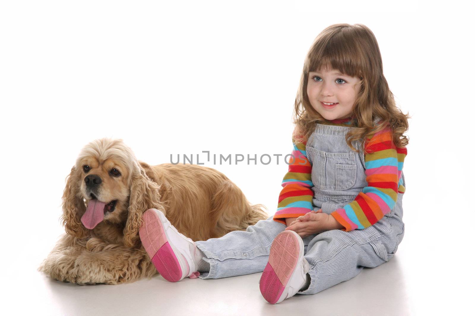 beauty a little girl and American Cocker Spaniel