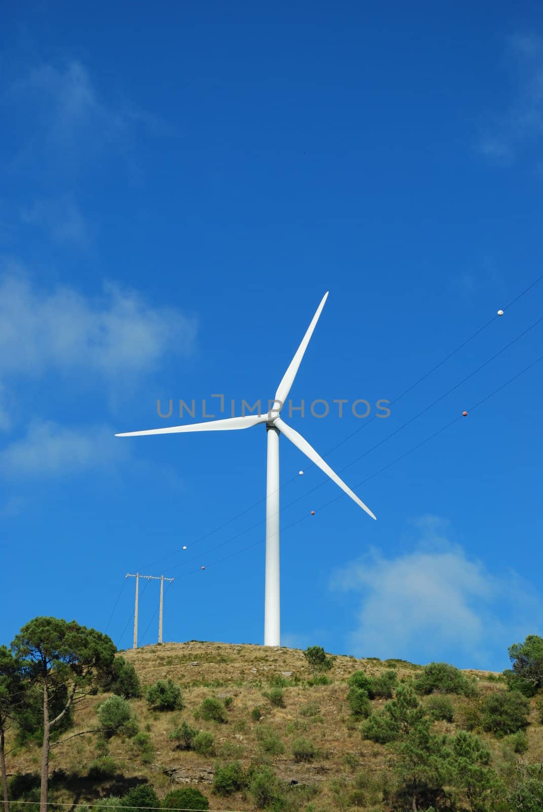 photo of a wind turbine with sky background on a green mountain
