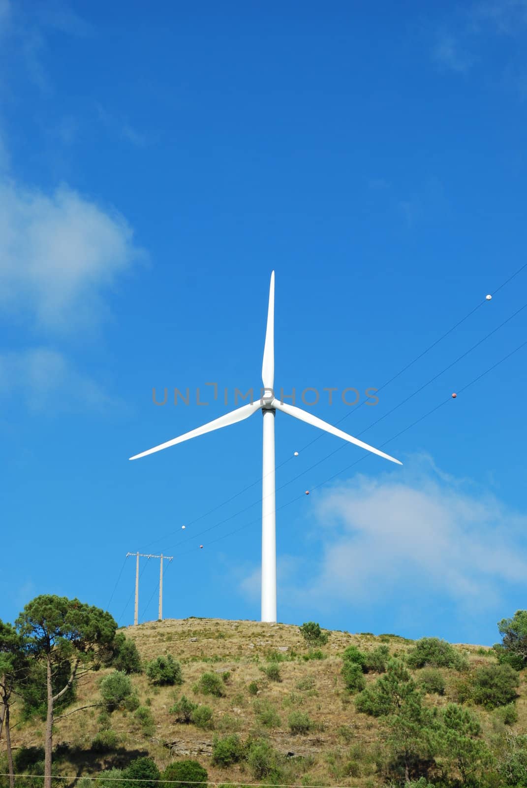 photo of a wind turbine with sky background on a green mountain