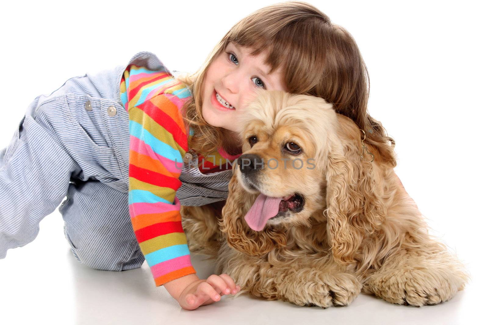 beauty a little girl and American Cocker Spaniel