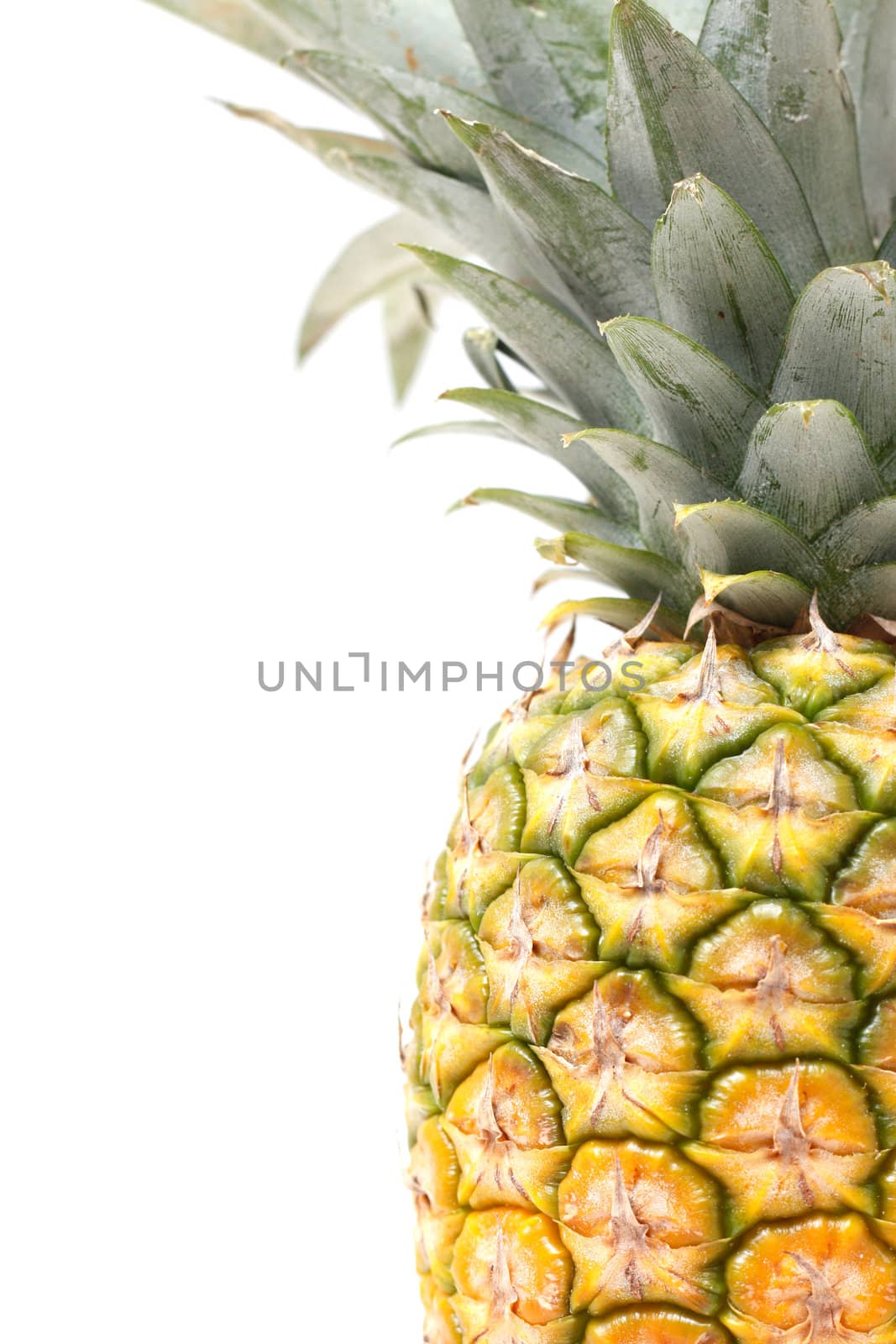 An isolated pinapple in a studio