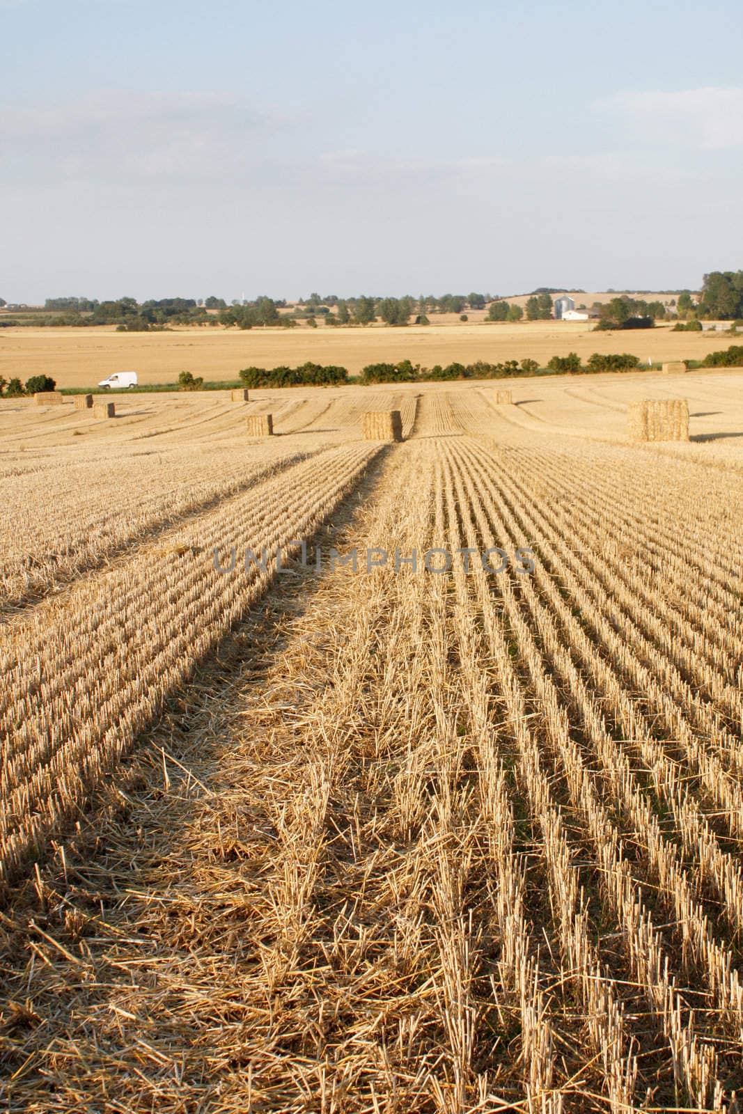 Farming by leeser