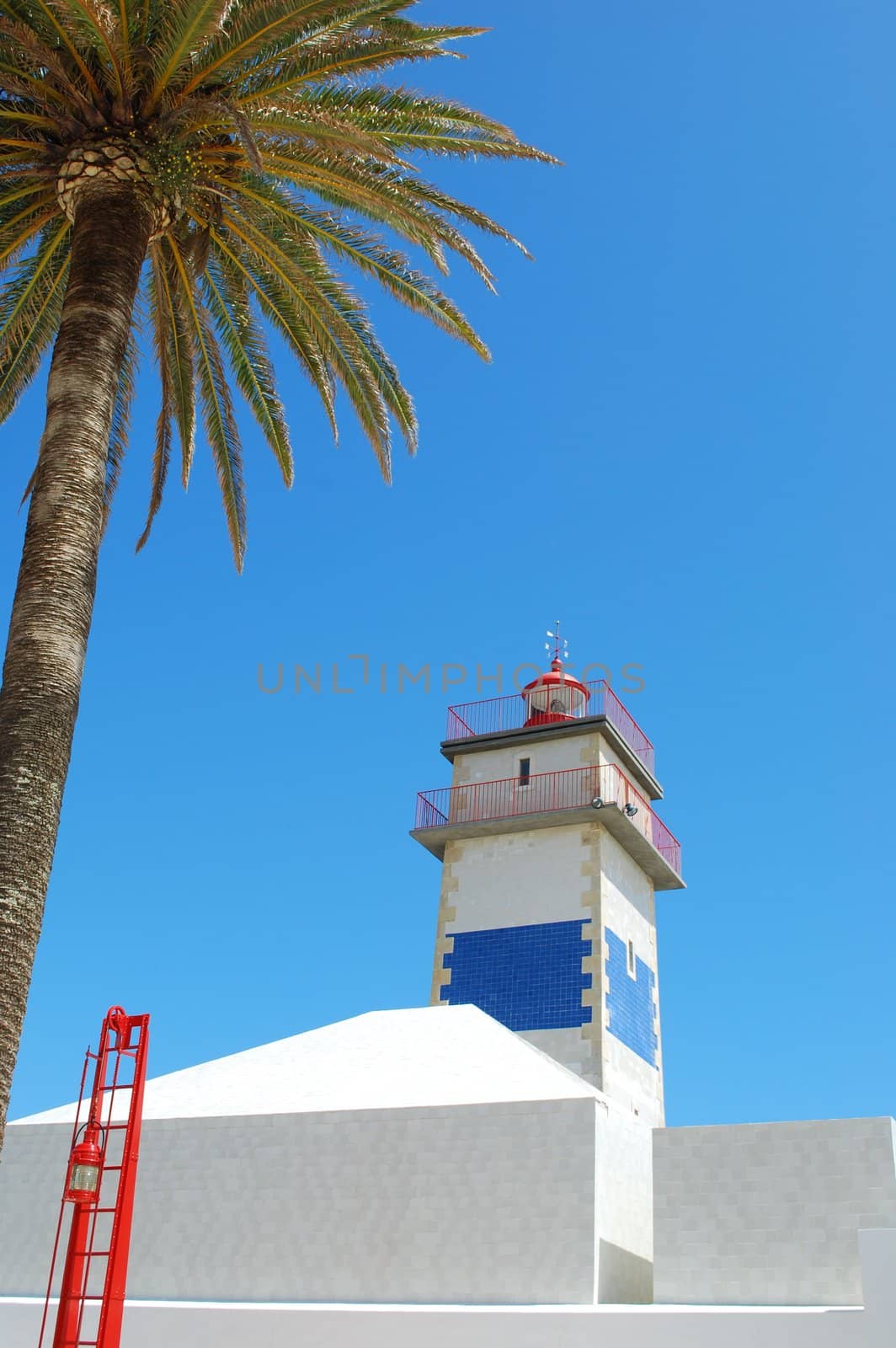 photo of a lighthouse in Cascais with a gorgeous palm tree, Portugal