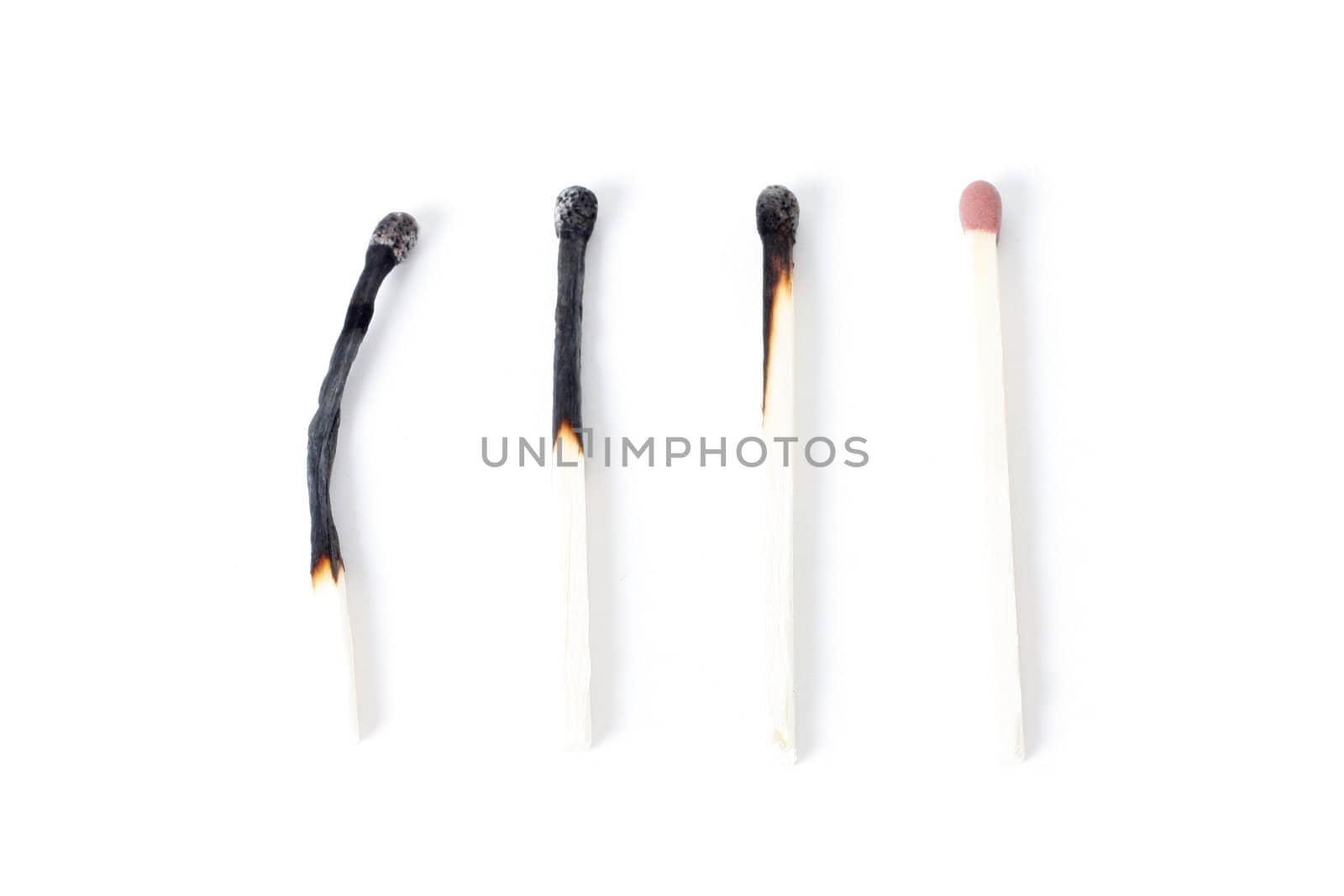 Matches showing a process of life
