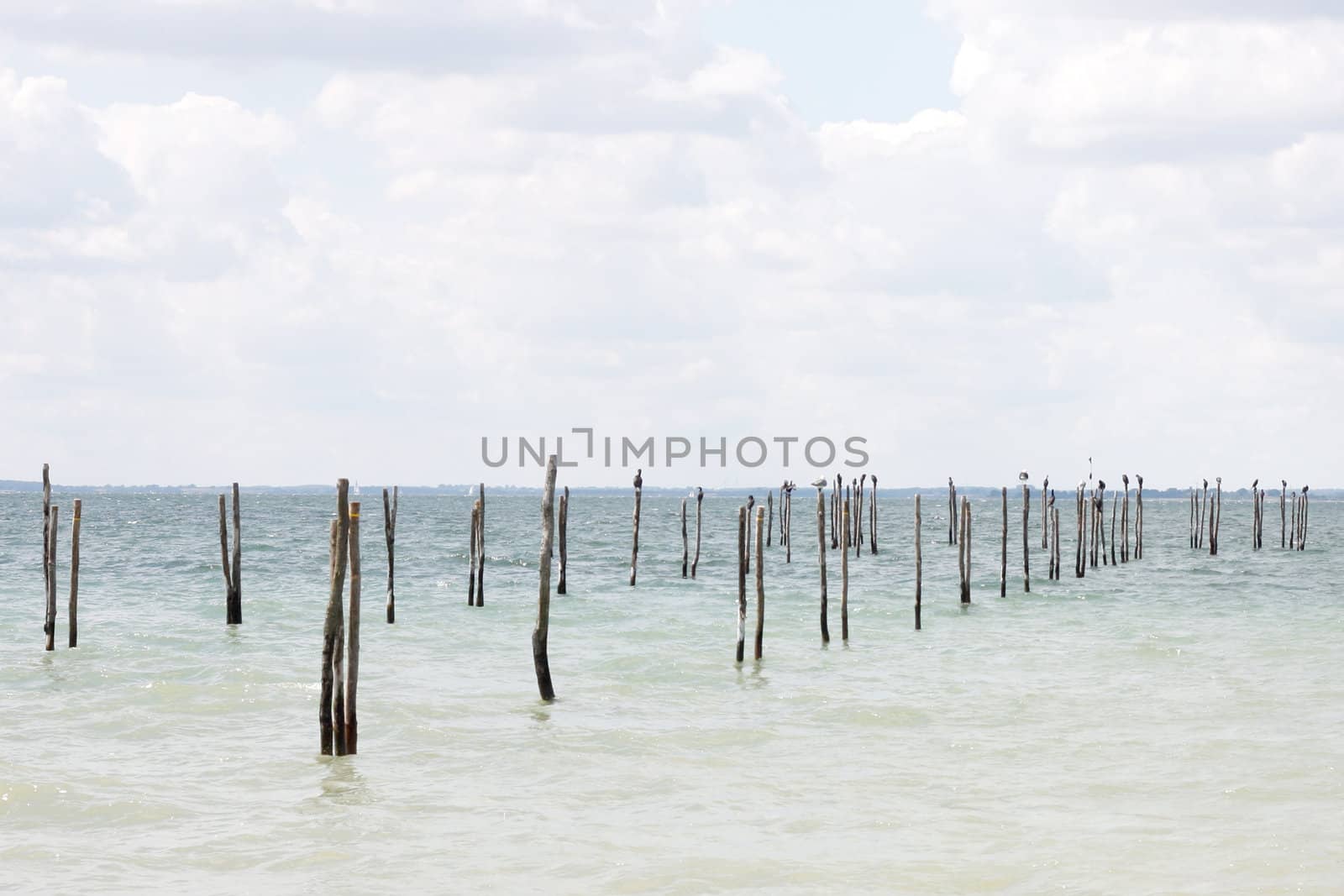 The Danish sea in a horizontal composition