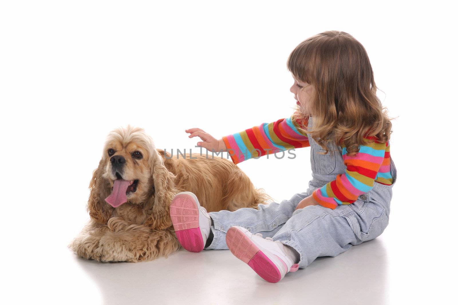 beauty a little girl and American Cocker Spaniel