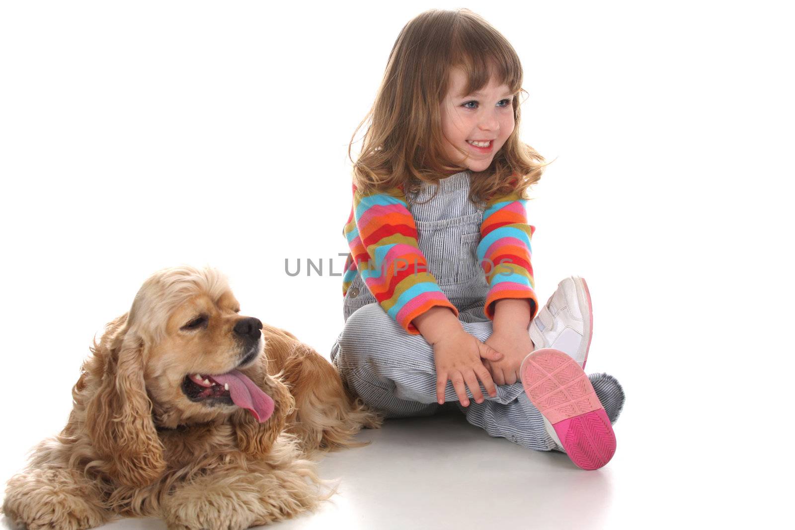 beauty a little girl and American Cocker Spaniel