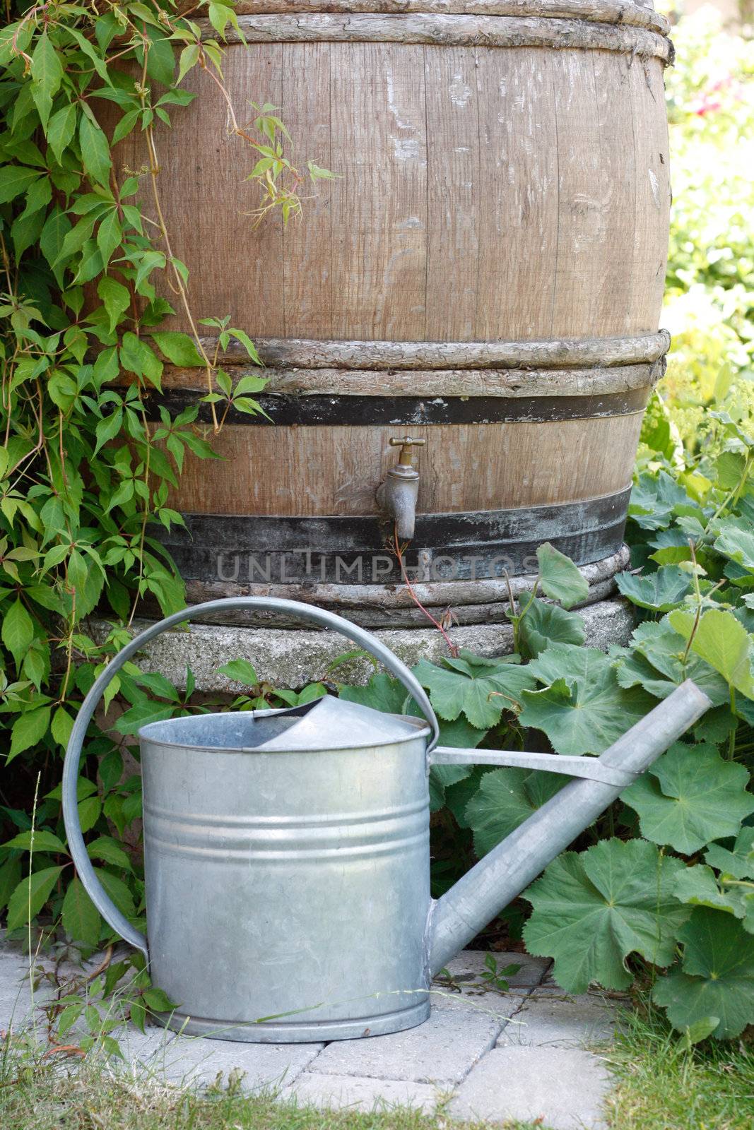A water barrel outside in a garden