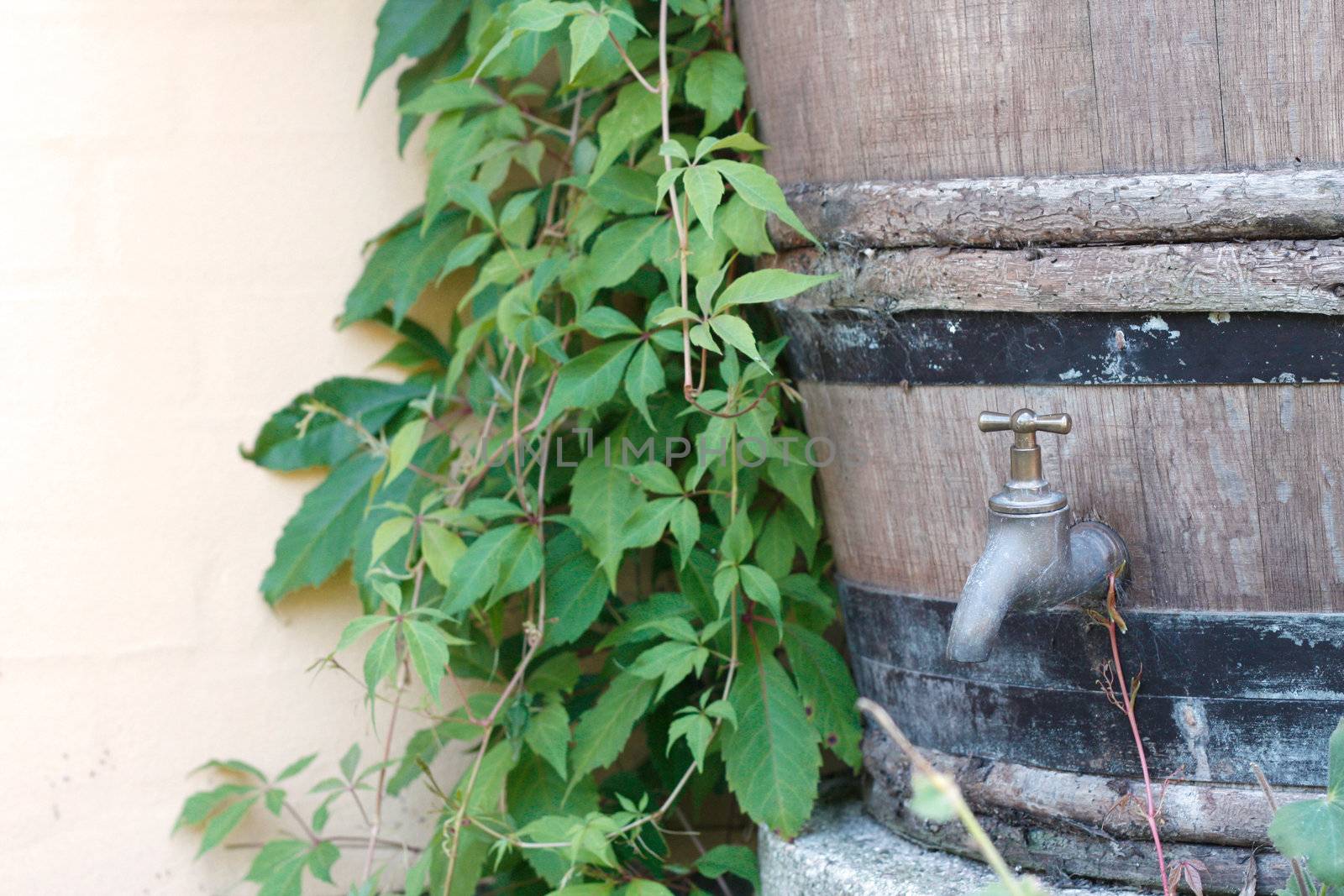 A water barrel outside in a garden