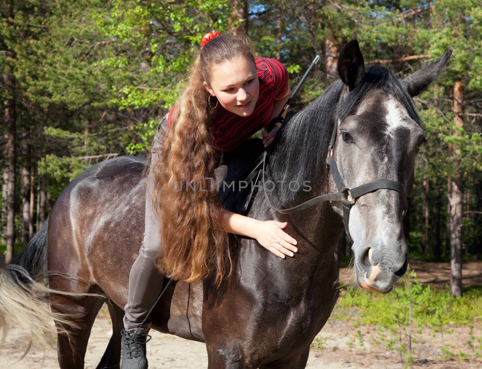 A girl with her hair stroked the horse against the backdrop of green forest