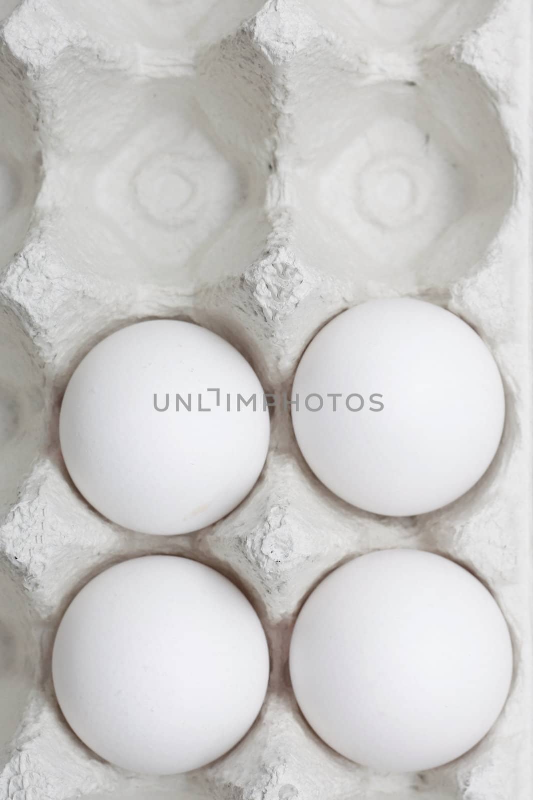 Eggs by leeser