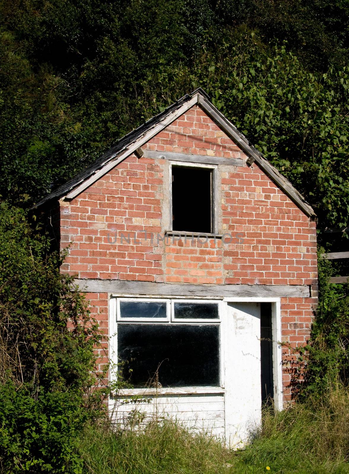 Small ruined house or cottage surrounded by trees and leaves