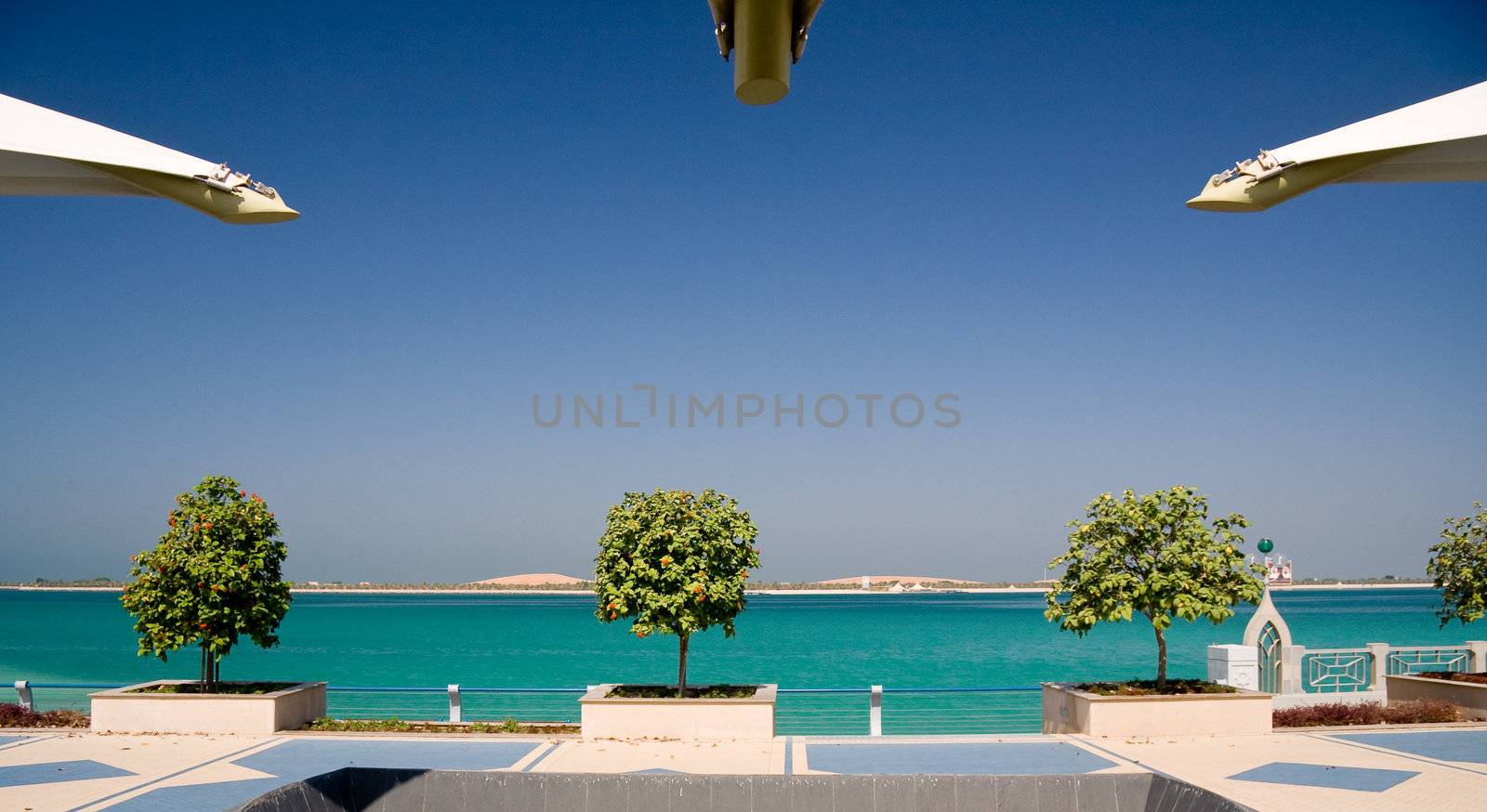 View of gulf in Abu Dhabi framed by trees and showing distant sand dunes