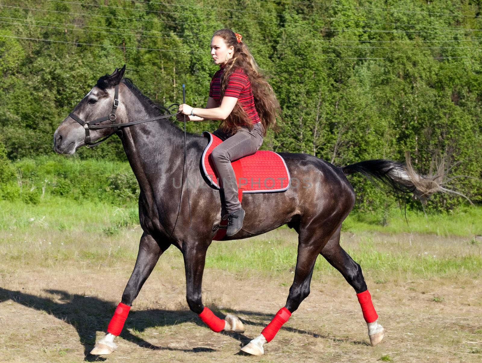 A girl riding a horse on a meadow