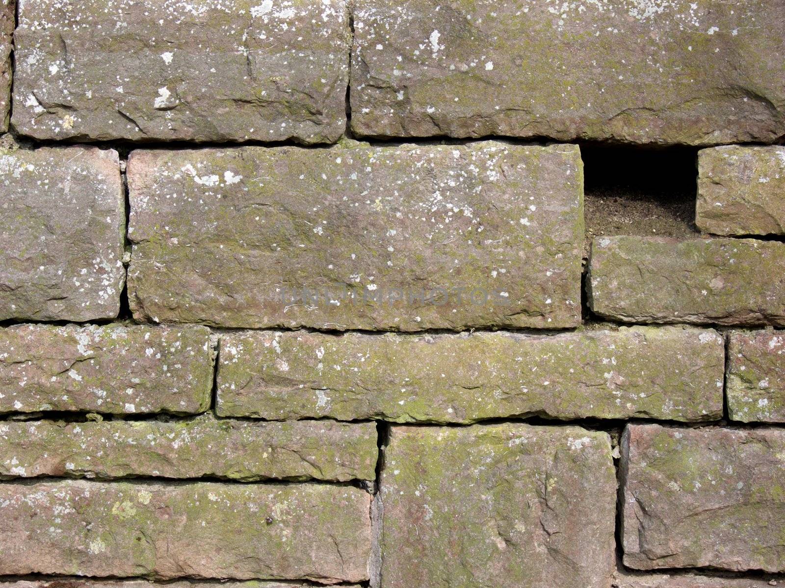 portrait of old brickwork background