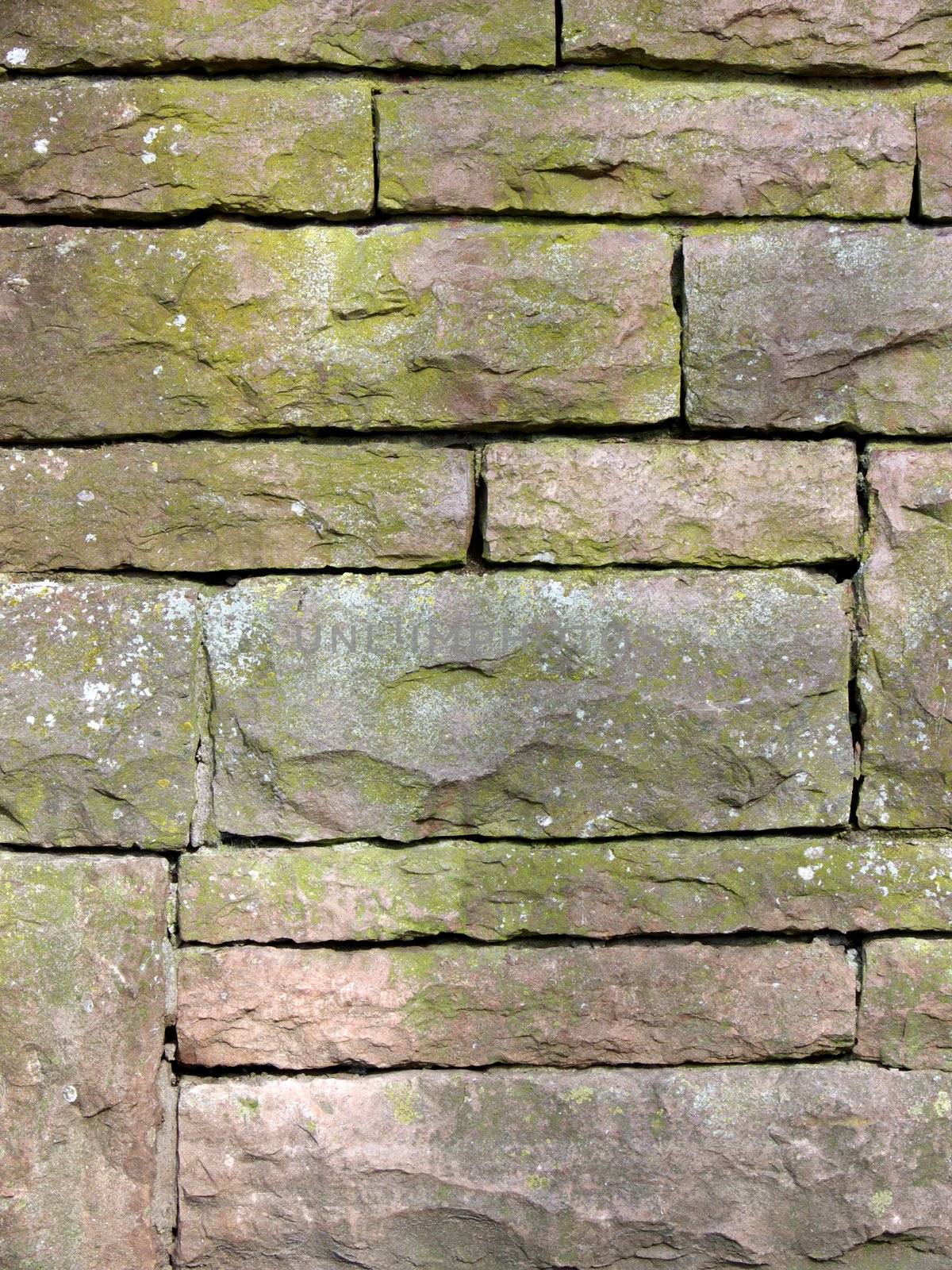portrait of old brickwork background