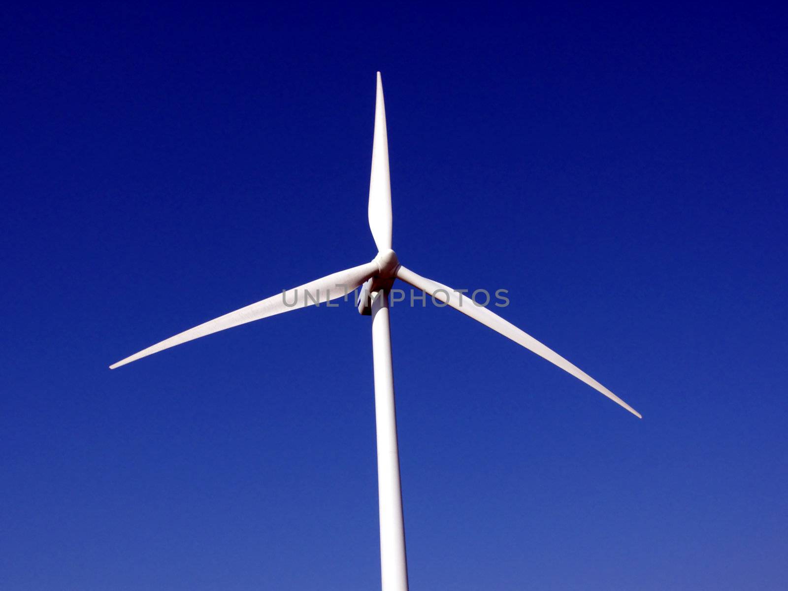 portrait of wind turbine in blue sky