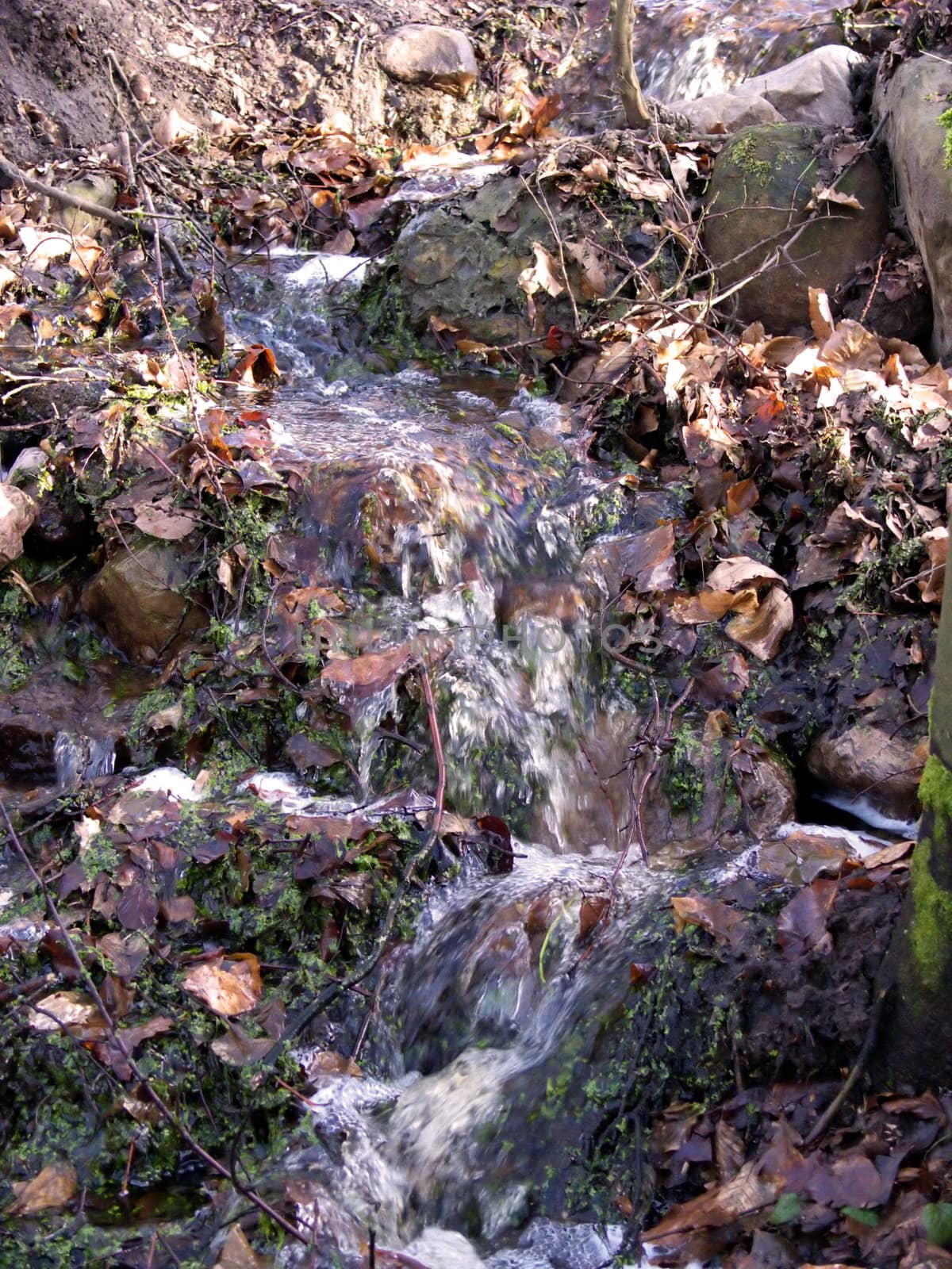 portrait of natural waterfall in nature at spring