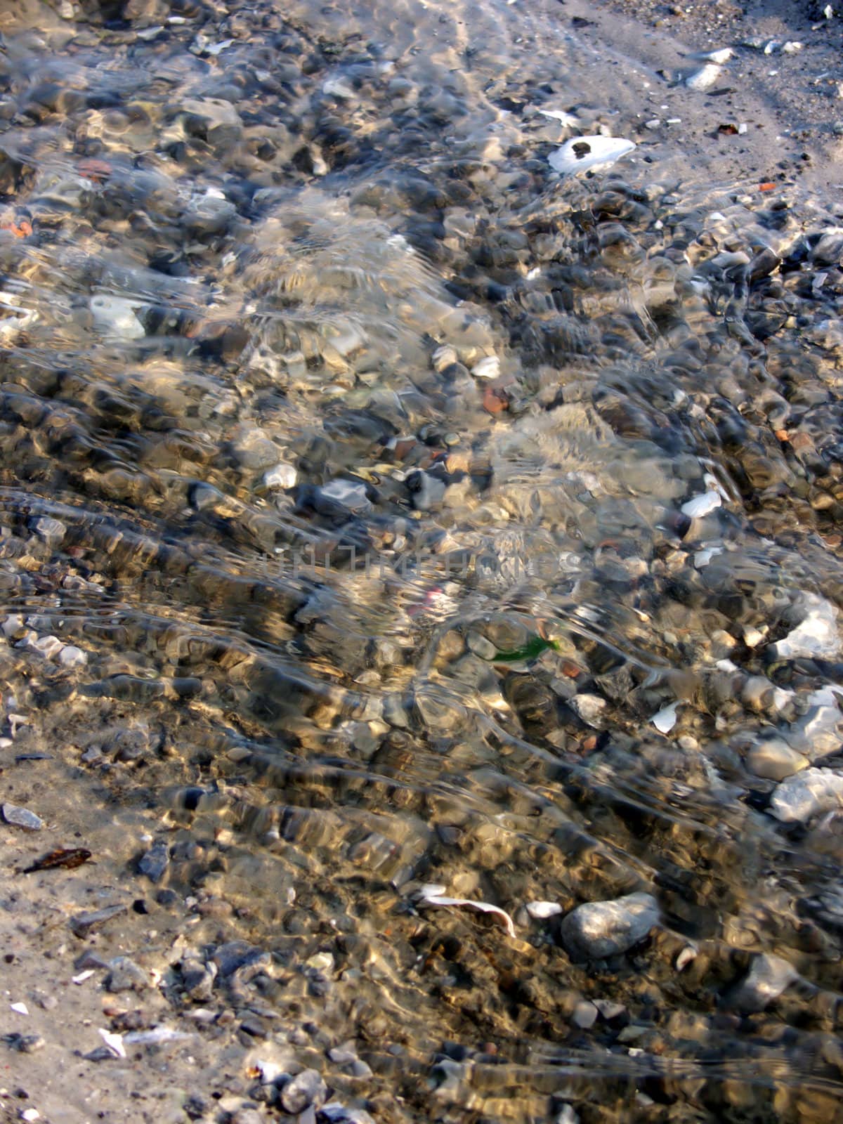 portrait of beach and waves on water