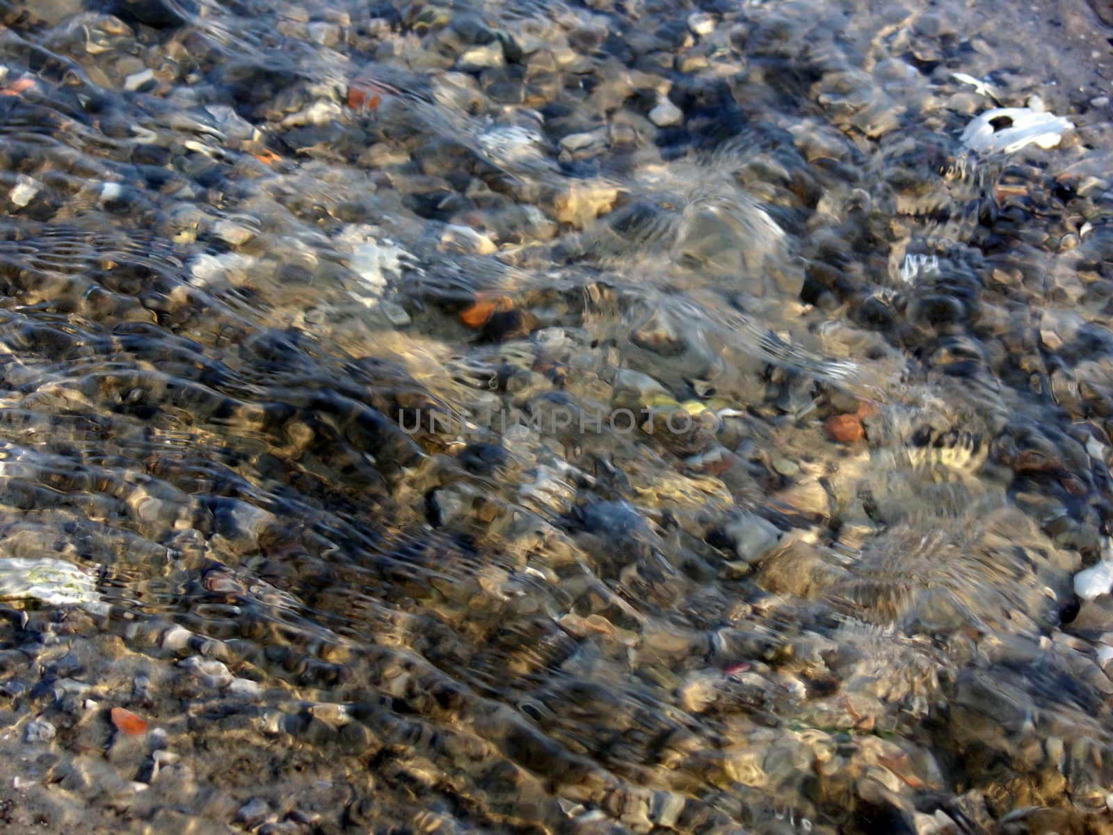 portrait of beach and waves on water