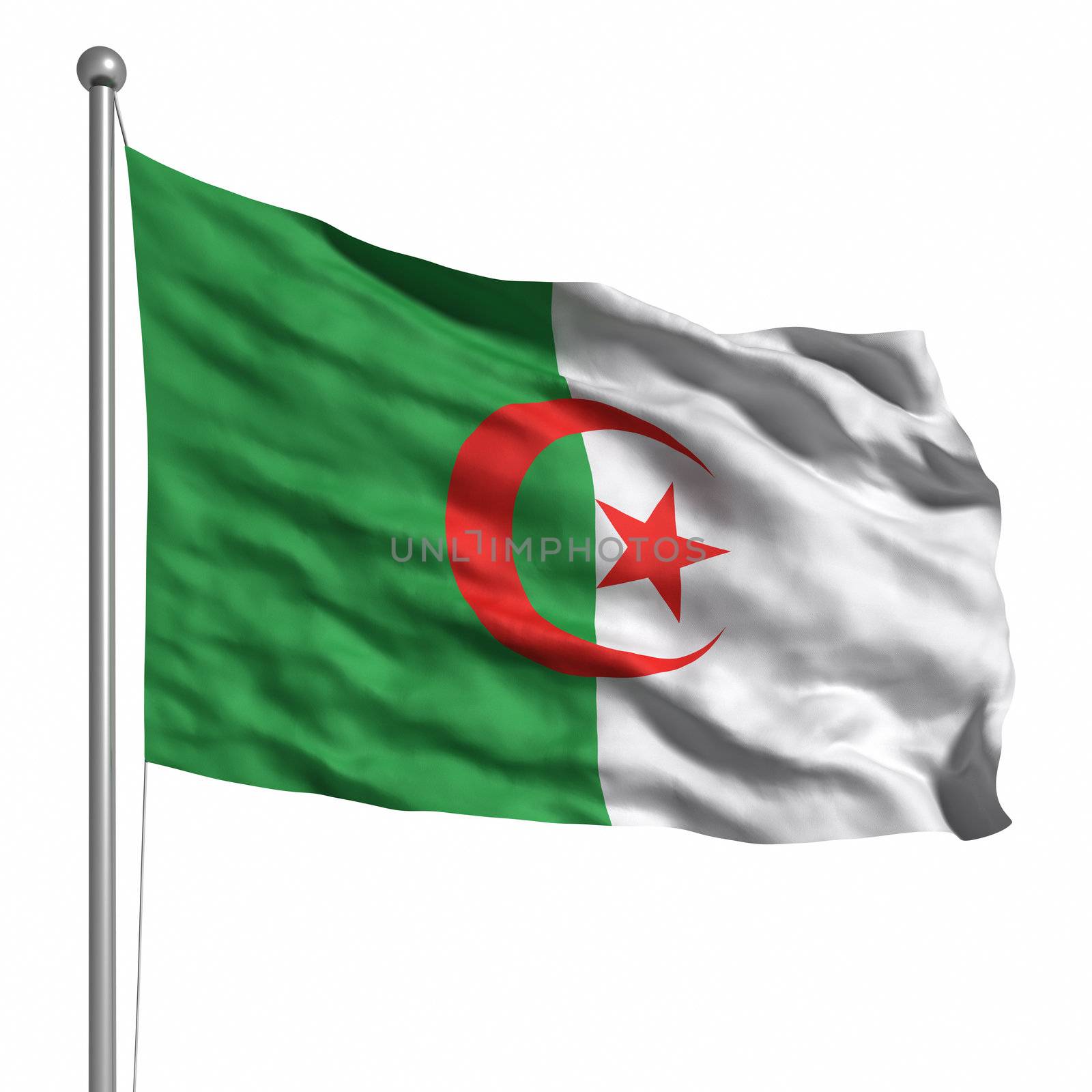 Flag of Algeria. Rendered with fabric texture (visible at 100%). Clipping path included.