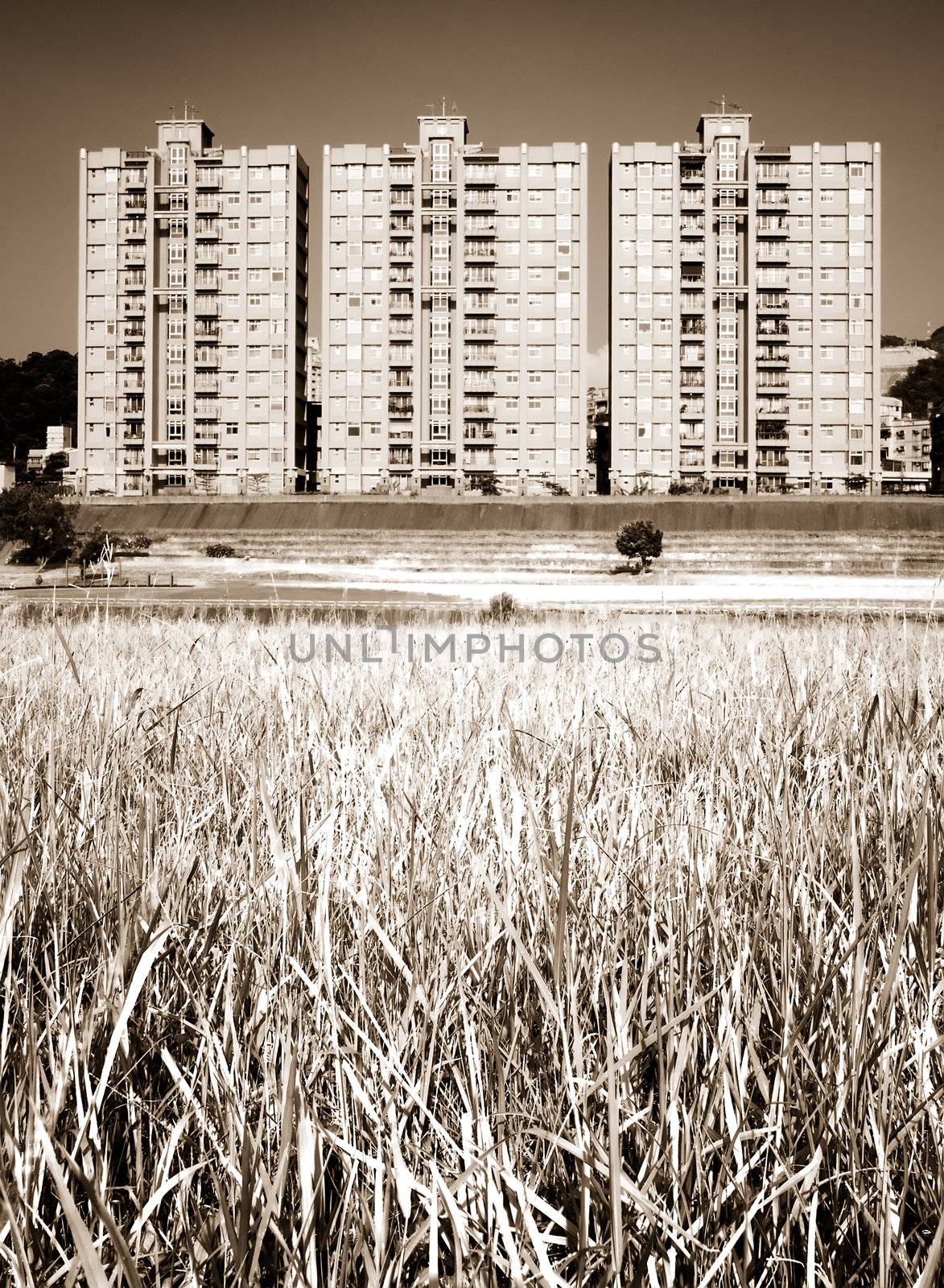 cityscape of apartments with grassland by elwynn