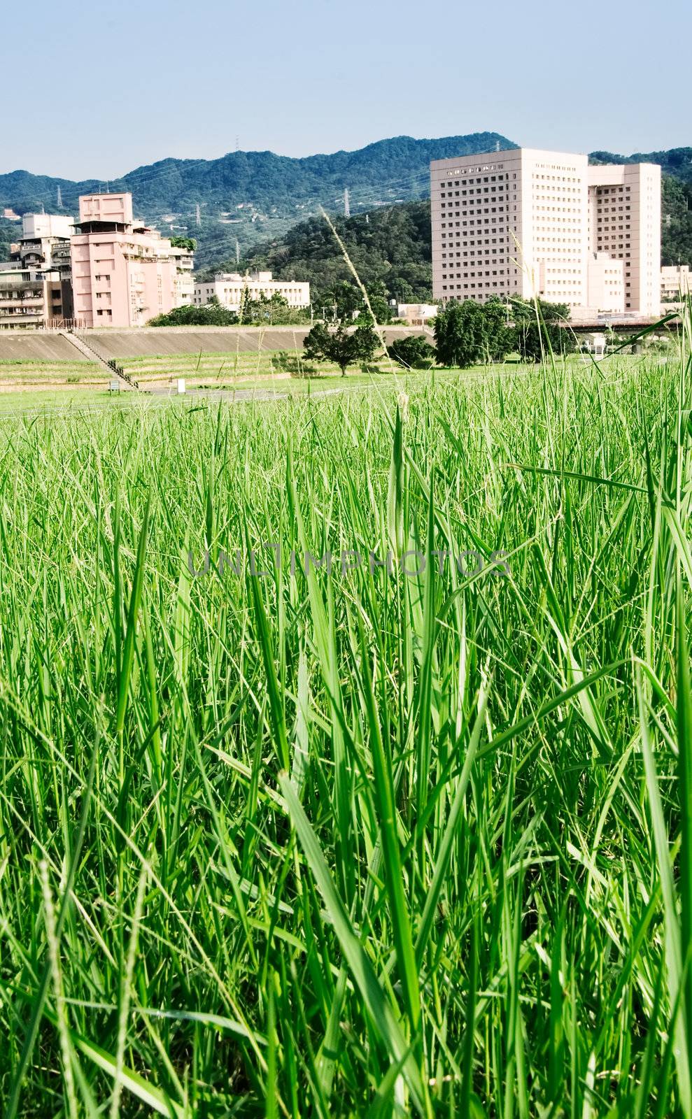 It is beautiful cityscape of apartments with grassland.