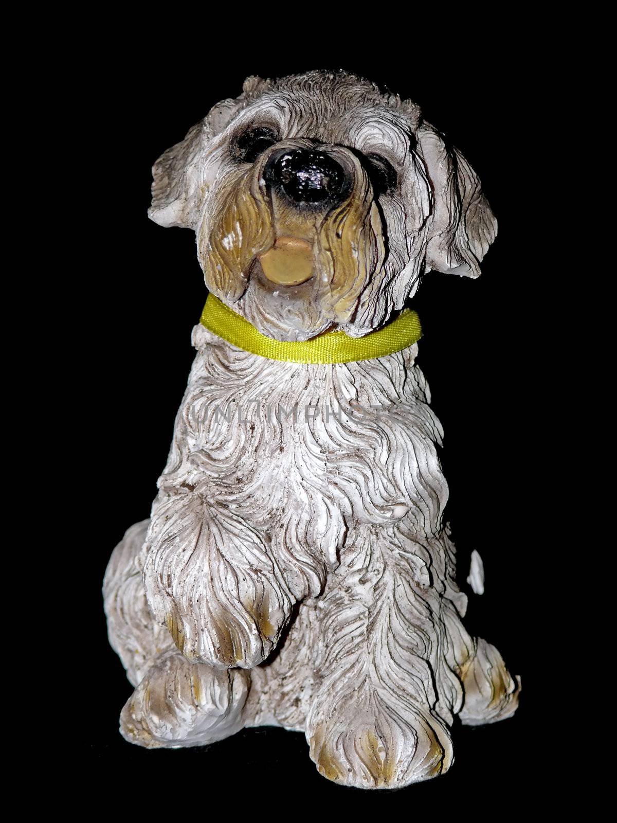 portrait of dog statue on black background