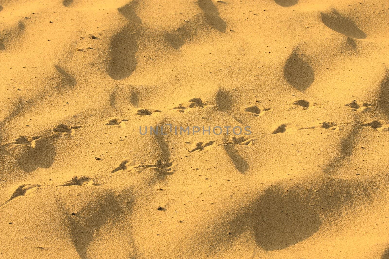 beauty sand great as a background