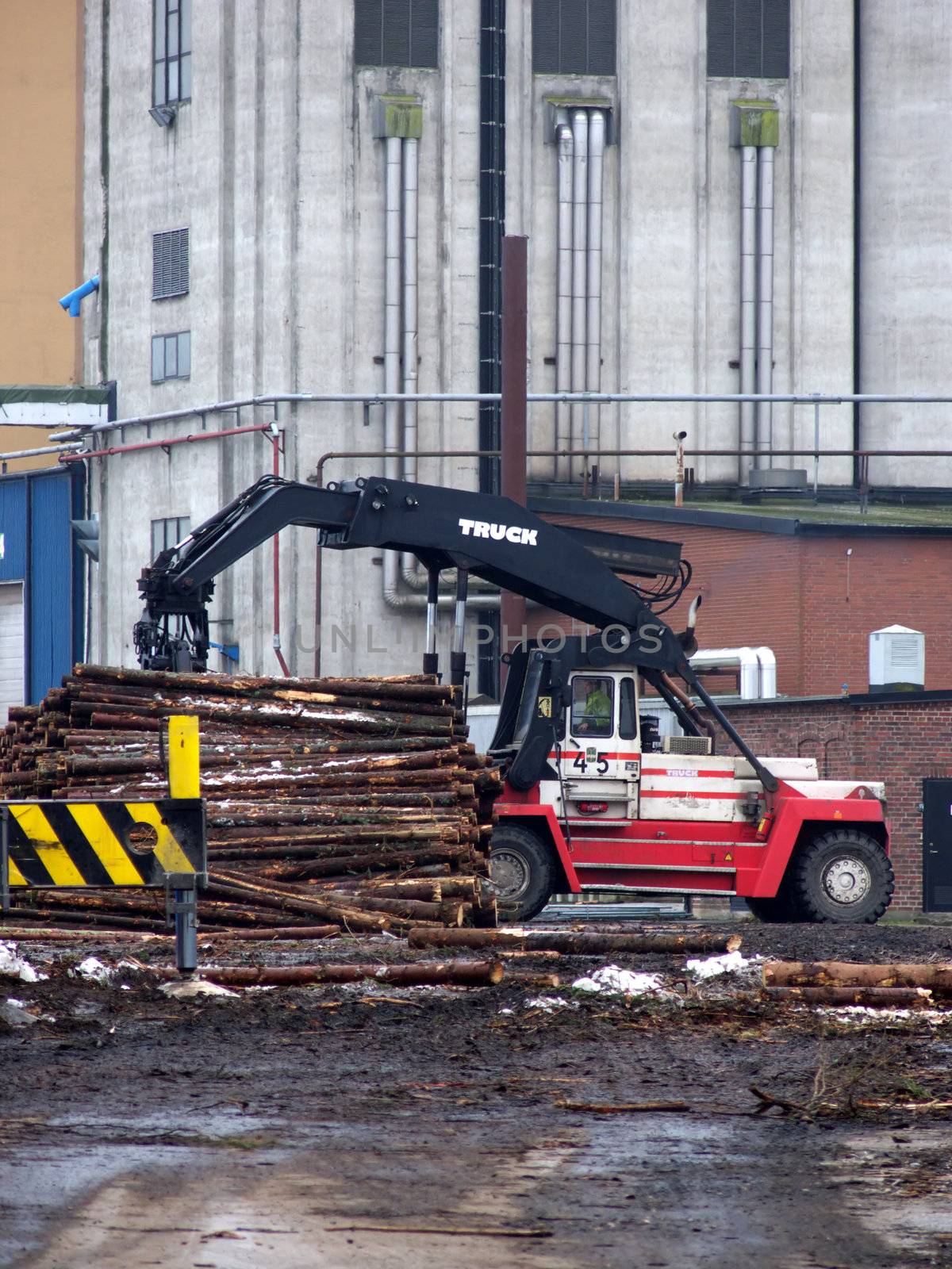 portrait of truck loading timber to a boat