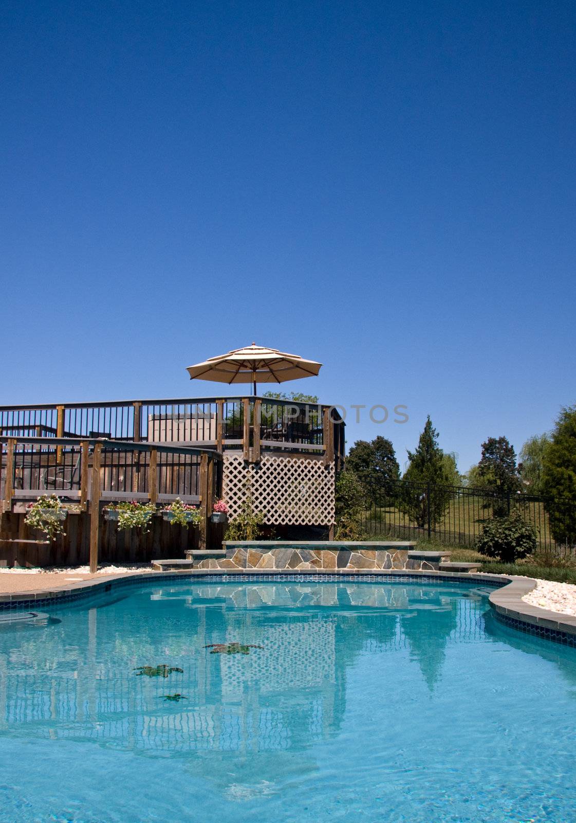 Blue swimming pool looking towards a wooden deck with umbrella and seats